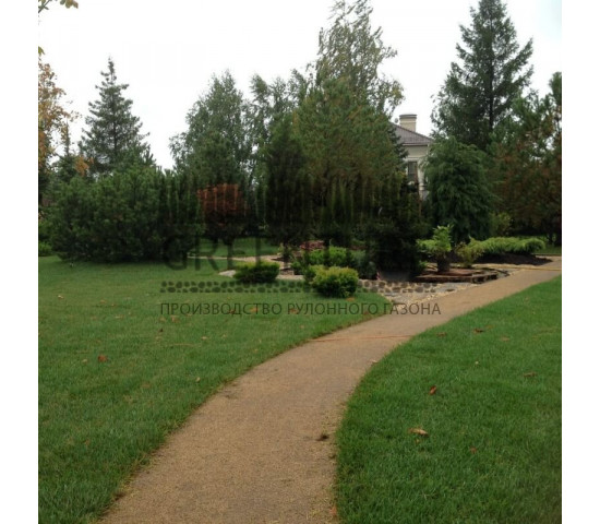 Устройство рулонного газона в коттеджном поселке - фото - 15