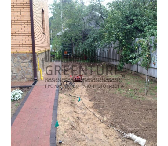 Озеленение частного домовладения - фото - 2