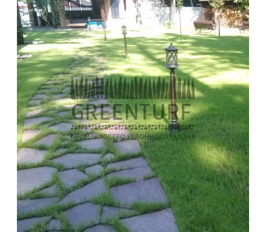 Озеленение частного домовладения - фото - 16