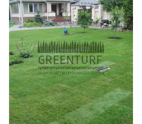 Устройство рулонного газона в частном доме - фото - 9