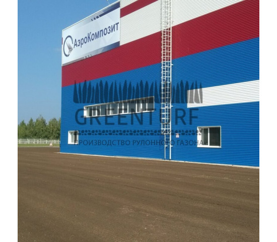 Озеленение предприятия «АэроКомпозит-Ульяновск» - фото - 8