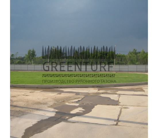 Озеленение крупного кролиководческого комплекса - фото - 14