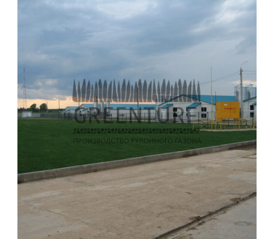 Озеленение крупного кролиководческого комплекса - фото - 16